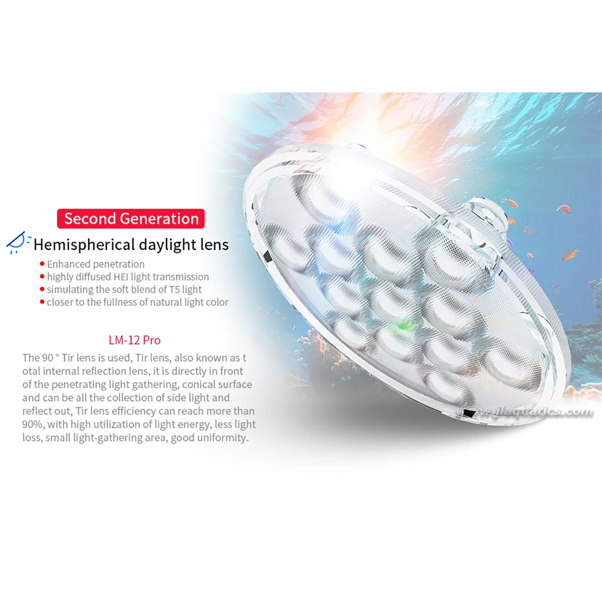 Seatorch LM-30 Pro LED Light (Special Order)