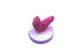 BubbleGum Millipora