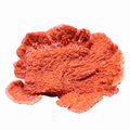 Red Montipora Frag